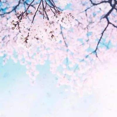 大发彩票官方官方平台app下载手机版