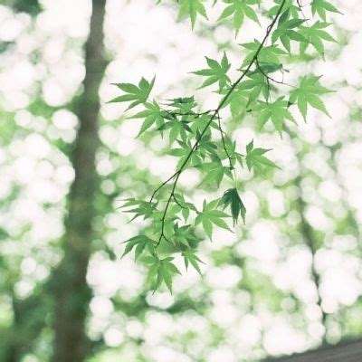 盈彩网下载手机版截图