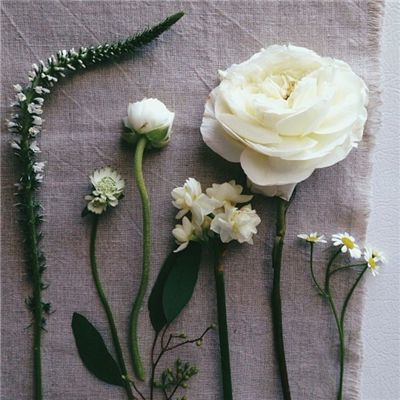 大发彩票官方官方平台app下载手机版